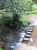 Stepping Stones in Whiteley Woods