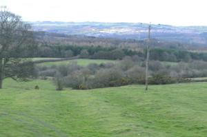 Staff and volunteers Dipton