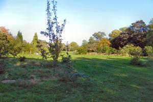 The Forest Garden, Birchfields Park