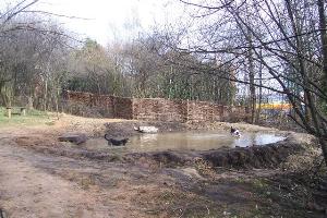 The pond at Sunnybank Nature Reserve