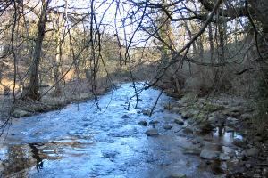 River Don at Middlewood