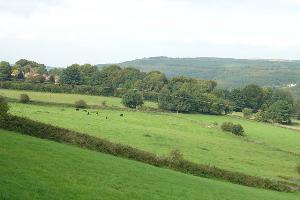 Don Valley above Middlewood