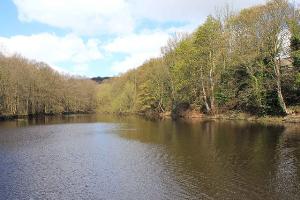 Wisewood Forge mill pond