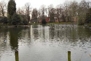 Alexandra Park Lake
