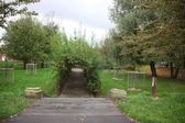 Willow Garden Crowcroft Park