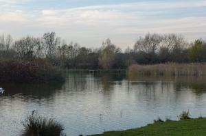 Mouldon Hill Lake just before sunset.