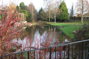 Queens Park - looking along the route towards the Drove Road entrance
