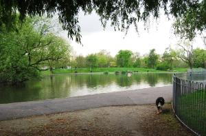 Mount Pond, Clapham Common
