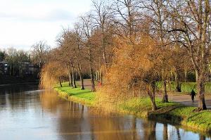 River Severn in the Quarry Park, Shrewsbury