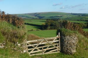 Challacombe Common