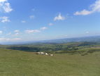 Wye Valley