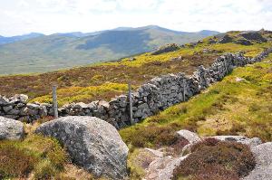 View to SW from Tal y Fan