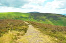 South from Moel Arthur
