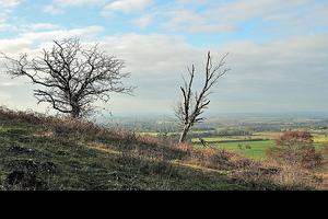Aylesbury Vale