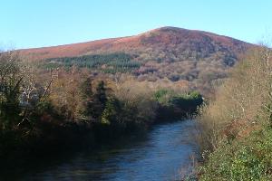 Garth Hill