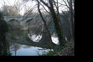 The River Wear Durham
