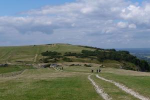Along South Downs Way