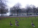 Victoria Park - West Lake