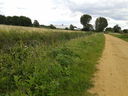 Walthamstow Marshes