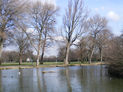 Victoria Park East Lake