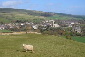 Abbotsbury