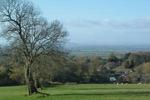 Above Hidcote Manor, Malvens in the distance