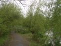 "just before the path meets the National Cycle Route 1, turn left over a wooden bridge"