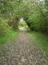 Path between Police Pit and Hooks Marsh Lake