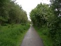 The path leading to Hall Marsh Scrape