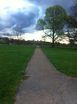 Path through open expanse of Hyde Park