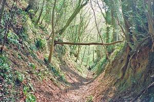 Medieval sunken lane on Wortley Hill