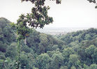 View from Lovers