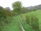 The route follows this bridleway in the Wormsley valley