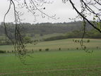 Shirburn Hill from the path along the edge of Shirburn Wood