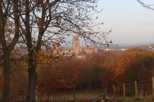 Cathedral from St. Aidan
