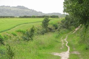 Icknield Way and Beacon Hill