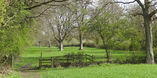 Holt Ley
