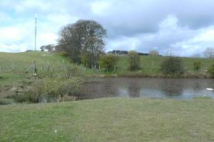 View of Pontop Pike from the pond by the old mineral line above Harelaw