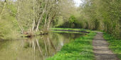 The Stratford Canal