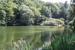 Friday Street’s “hammer pond” powered George Evelyn’s mill in the sixteenth century