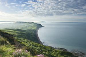 The Dorset Coast near Golden Cap