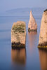 The pinnacles off Old Nick