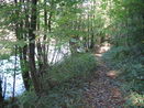 woodland path in arrow valley