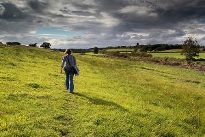 Walking to Great Budworth
