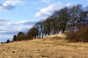Trees and field alongside Tow Law cemetery
© Copyright Ian Porter and licensed for reuse under this Creative Commons Licence