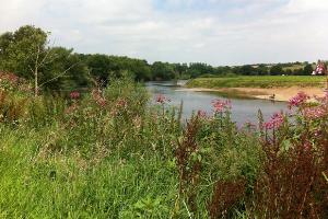 The Wye and pillars of Backney Bridge