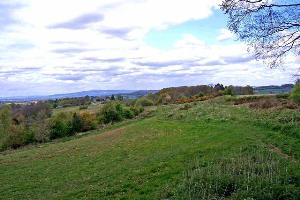 Bromyard Downs