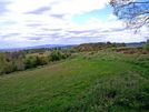 Bromyard Downs
