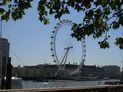 The London Eye on the south bank of the Thames