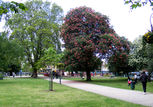 Camberwell Green